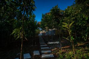 Κήπος έξω από το Cinnamon Eco Lodge
