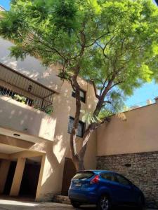 un coche azul estacionado junto a un árbol en frente de un edificio en Excelente,dpto amplio, A estrenar gran ubicacion en Mendoza