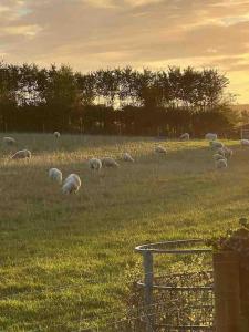 Foto dalla galleria di The Cabin a Preston Altre 15 foto