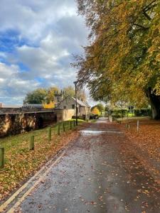 a road with leaves on the ground and a tree at Home Farm rooms in the grounds of Wentworth Castle in Barnsley
