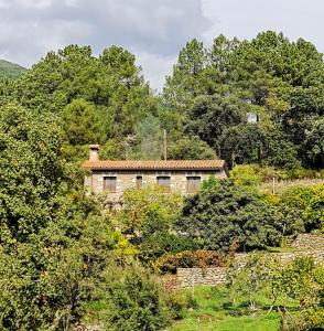 una vieja casa de piedra en medio de árboles en Casa Rural en Candeleda con piscina y un maravilloso jardín, en Candeleda