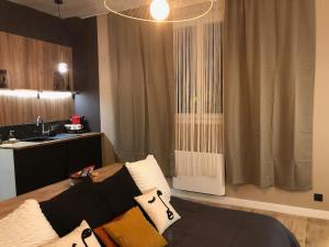 a living room with a couch and a kitchen at Le TULUM, T2, Hyper-centre, Place aux herbes in Mâcon