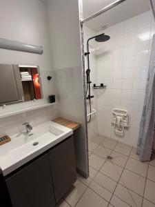 a bathroom with a sink and a shower at L’Atelier de la dépendance in Lempdes sur Allagnon