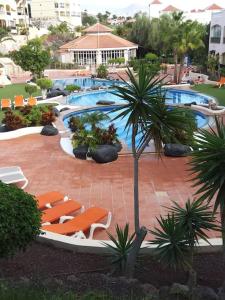 una piscina con tumbonas y una palmera en Vacanze da sogno, en San Miguel de Abona