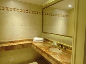 巴蘭基亞的住宿－草原酒店，一间带水槽和镜子的浴室