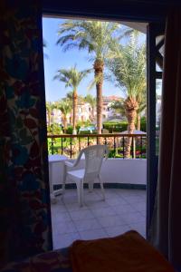 a room with a view of a patio with palm trees at Dive Inn Resort in Sharm El Sheikh
