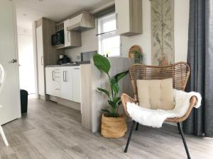 ein Wohnzimmer mit einem Stuhl und einer Pflanze in der Unterkunft Chalet 557 op Recreatiepark De Wielen in Sint Maarten