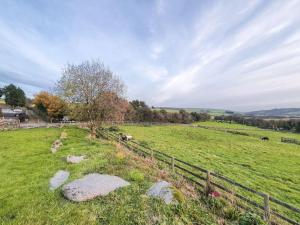 a field with a fence and some animals in it at Skyber Barn, a rural retreat on Bodmin Moor in Liskeard