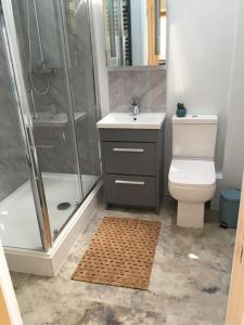 a bathroom with a shower and a toilet and a sink at Skyber Barn, a rural retreat on Bodmin Moor in Liskeard