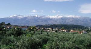 una ciudad con montañas cubiertas de nieve en el fondo en Fabrica, en Vamos