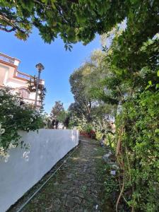 Imagen de la galería de Green Diamond Homestay, en Dehradun 16 fotos más