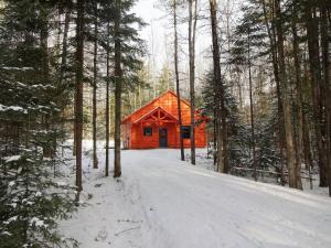 a small red cabin in the woods in the snow at Robert Frost Mountain Cabins in Middlebury +33 photos