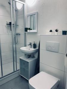 een witte badkamer met een toilet en een wastafel bij modernes 1-Raum Apartment für Monteure (WORK 1) in Cottbus