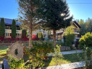 Gallery image of The View Sinaia-Busteni in Buşteni