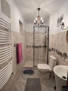 a bathroom with a shower and a toilet and a sink at The View Sinaia-Busteni in Buşteni