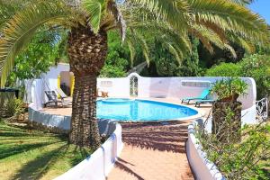 a palm tree next to a swimming pool at Villa Felicity in Porches