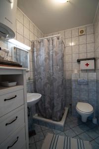 y baño con ducha, aseo y lavamanos. en Apartment Biscan, en Sveta Nedjelja