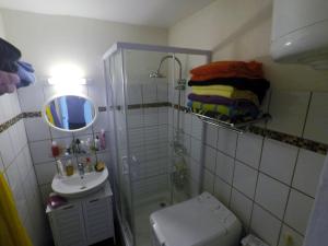 a bathroom with a shower and a toilet and a sink at Studio Marina pointe du bout vue sur le port in Les Trois-Îlets
