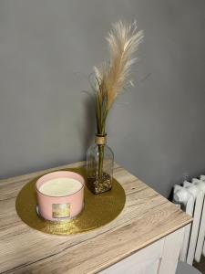 Foto dalla galleria di Apartament 75 w Centrum! Okulickiego! a Stalowa Wola