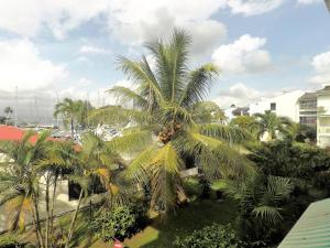 A garden outside Studio Marina pointe du bout vue sur le port