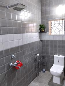 a bathroom with a white toilet and a shower at Ola Goa in Mandrem