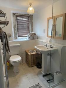 a bathroom with a toilet and a sink at Beautiful listed 3 bedroom cottage with wood burner in Youlgreave