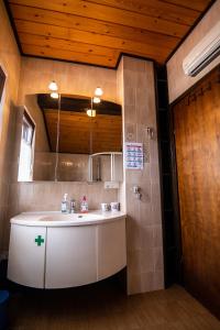 薩莫博爾的住宿－Apartment Bišćan Samobor，一间带水槽和镜子的浴室