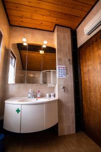 a bathroom with a sink and a mirror at Apartment Bišćan Samobor in Samobor +28 photos