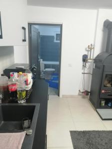 Casa Balan tesisinde mutfak veya mini mutfak