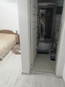 1 dormitorio con 1 cama y vestidor con espejo en Casa Balan en Câmpulung Moldovenesc