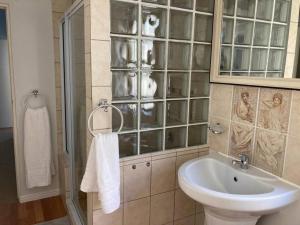 La salle de bains est pourvue d'un lavabo, de toilettes et d'une douche. dans l'établissement Johan-nest, au Cap