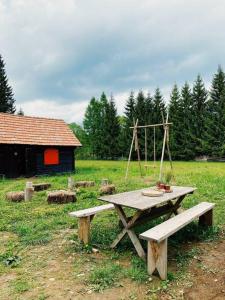 a picnic table in a field with a swing at Comandau 11 in Comandău