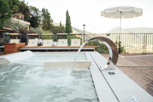 a plunge pool with an umbrella in a backyard at Vytae Spa & Resort in Vallecorsa