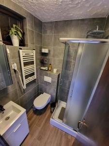 a bathroom with a shower and a toilet and a sink at Kuća za odmor Potjeh in Slavonski Brod