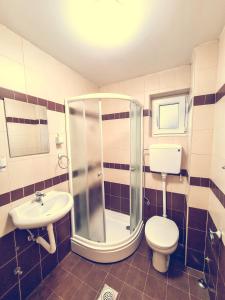 a bathroom with a shower and a toilet and a sink at The spots - 300m from the Gondola in Brzeće