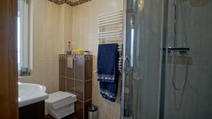 uma casa de banho com um chuveiro, um WC e um lavatório. em Willa Raj - Apartamenty nad jeziorem KA-BOATS em Rajgród