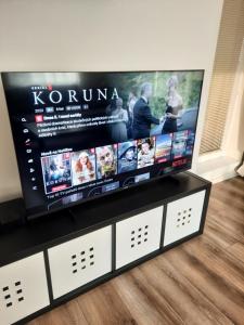 TV a/nebo společenská místnost v ubytování Líšný 105 celý nový dům se zahradou u Jizery a cyklo-stezky New house by Jizera river and bicycle path