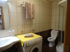a bathroom with a washing machine and a sink at APARTMENT Darsi in Pamporovo
