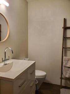 a bathroom with a sink and a toilet and a mirror at Beach Street Loft in Boston