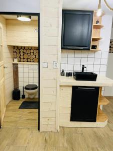 a kitchen with a sink and a tv on a wall at Apartmán Kunst in Kořenov