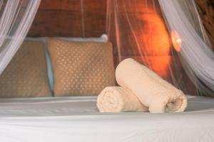 Foto dalla galleria di Mapache Hostel & Camping a Isola Holbox