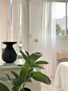 un vase noir assis sur une table à côté d'une plante dans l'établissement Luxury apt Alamos beach Torremolinos (Costa Lago), à Torremolinos