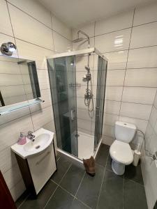 ein Bad mit einer Dusche, einem WC und einem Waschbecken in der Unterkunft Apartamenty Ostrowiec - Pokoje Gościnne Centrum in Ostrowiec Świętokrzyski