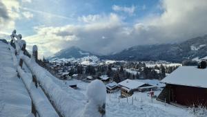 Haus Alpenglück v zime