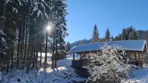 Haus Alpenglück v zime