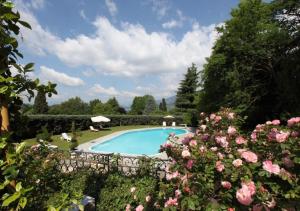 a swimming pool in a garden with pink roses at Villa Ghiringhelli in Azzate