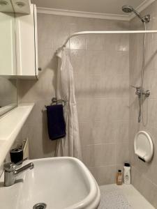 a bathroom with a shower and a tub and a sink at Luminosa habitación in Mondragón