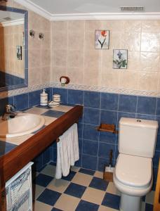 a bathroom with a toilet and a sink at Casa Rural El Cañico in Otero de Bodas