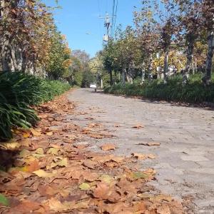 本图贡萨尔维斯Locanda Montecielo - Vale dos Vinhedos的相册照片