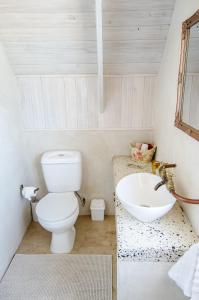 a bathroom with a toilet and a sink at Red Bishop - Birds, Beach & Beauty in Langebaan